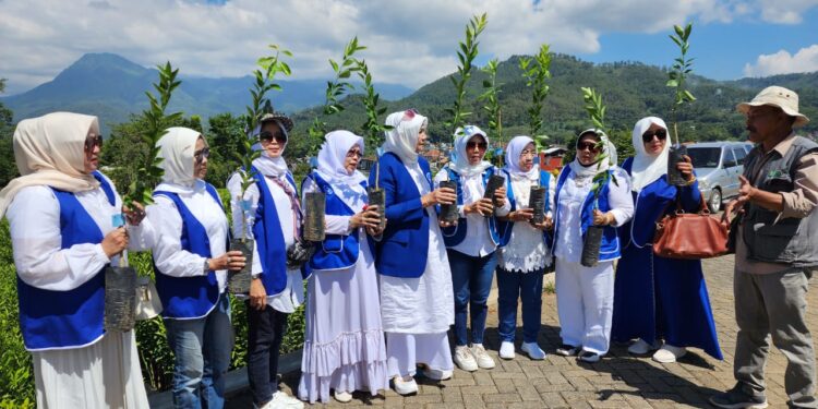 DPD IWAPI Jatim Bagikan 1000 Bibit Jeruk Bantuan Kementerian Pertanian