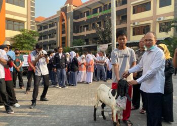 YPM Sepanjang Bagikan Langsung 52 Hewan Qurban ke Masyarakat