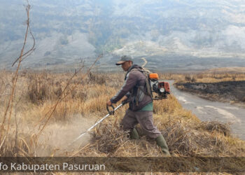 Warga Empat Kabupaten Daerah Sekitar Bromo Gelar Kerja Bakti Bersihkan Lahan