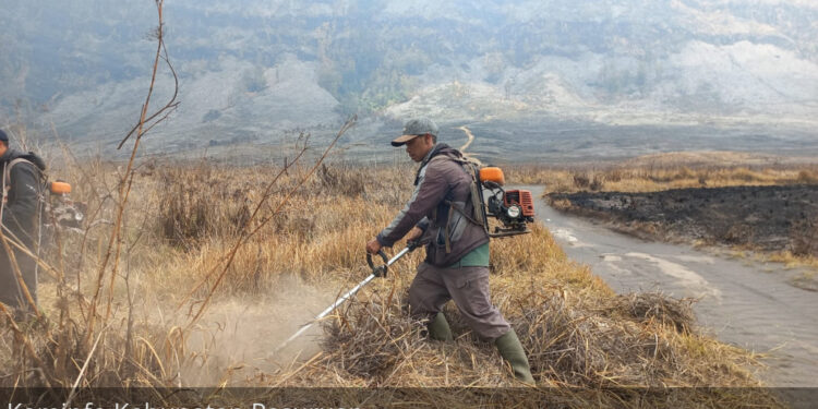 Warga Empat Kabupaten Daerah Sekitar Bromo Gelar Kerja Bakti Bersihkan Lahan