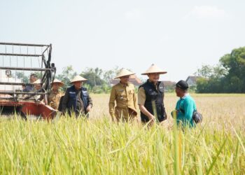 DKPP Lamongan Beri Pelatihan Untuk Petani Milenial