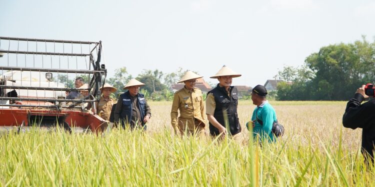 DKPP Lamongan Beri Pelatihan Untuk Petani Milenial