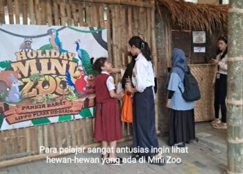Sekarang Mini Zoo Ada di Lippo Plaza Sidoarjo