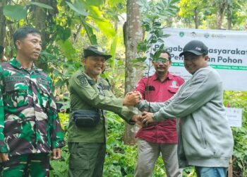 Jaga Lingkungan Hidup, UMAHA Tanam 250 Pohon di Desa Ngembat