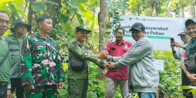 Jaga Lingkungan Hidup, UMAHA Tanam 250 Pohon di Desa Ngembat