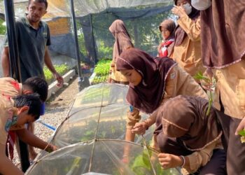 SD Al Muslim Lakukan Pelatihan Pembibitan Tanaman Bersama Dinas Kehutanan Jatim