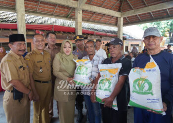 Bupati Ikfina Salurkan Bantuan CPP Beras Kepada 1.294 Warga