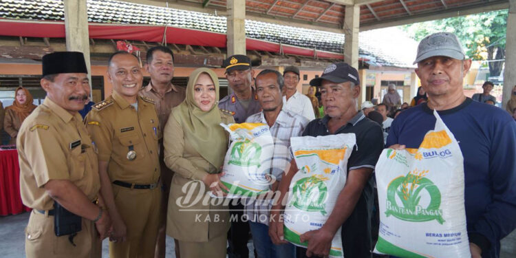 Bupati Ikfina Salurkan Bantuan CPP Beras Kepada 1.294 Warga