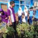 Peringatan Hari Bumi, Siswa, Guru, Komite SMPN 1 Sedati Lakukan Tanaman Pohon di Lingkungan Sekolah