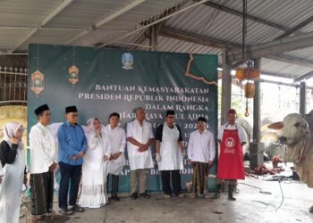Hewan Kurban Presiden RI Disembelih di Masjid Raya Islamic Center Surabaya