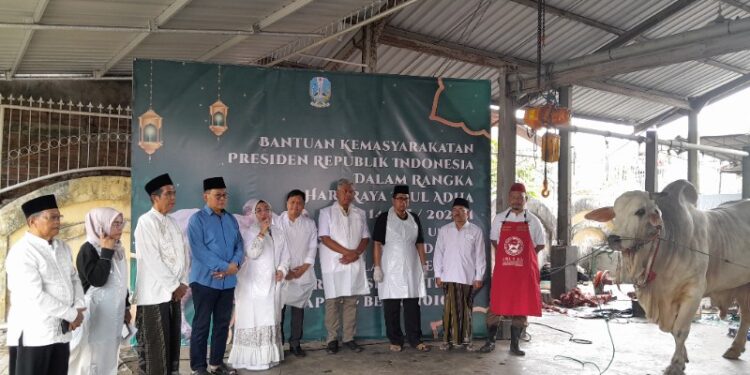 Hewan Kurban Presiden RI Disembelih di Masjid Raya Islamic Center Surabaya