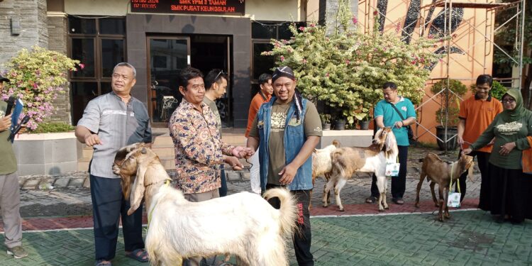 Hari Ini YPM Bagikan 53 Hewan Qurban ke Masyarakat