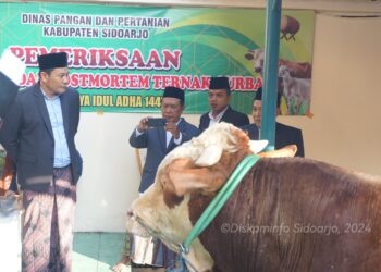 Plt. Bupati Subandi Serahkan Sapi Seberat 1 Ton Kepada Masjid Agung Sidoarjo