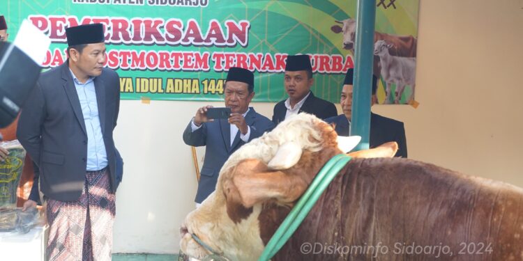 Plt. Bupati Subandi Serahkan Sapi Seberat 1 Ton Kepada Masjid Agung Sidoarjo