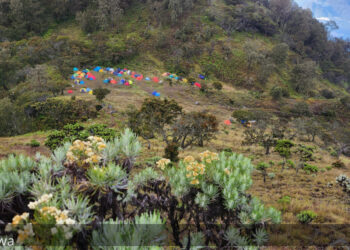 Mulai 1 November Aktifitas Pendakian Gunung Arjuna Ditutup