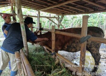 Banyuwangi Terus Genjot Program ‘SMS PISAN’
