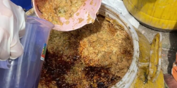 Tim Mahasiswa ITS Tingkatkan Mutu larva Black Soldier Fly Melalui Pakan Biofeed