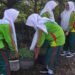 Peringati HMPN, Komunitas Seven Green SMK YPM 7 Tarik Tanam Pohon Sekitar Sekolah
