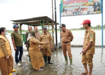 Plt. Bupati Sidoarjo Bersama Kepala Dinas PU Bina Marga Sidak Desa Tergenang Banjir