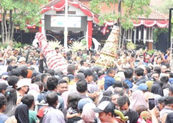 Budaya Rebutan Gunungan Sedekah Bumi Ramaikan Harjasda ke 166