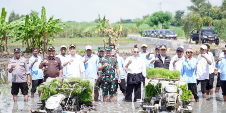 LTT Lamongan Hingga April Mencapai 28,30 Persen.