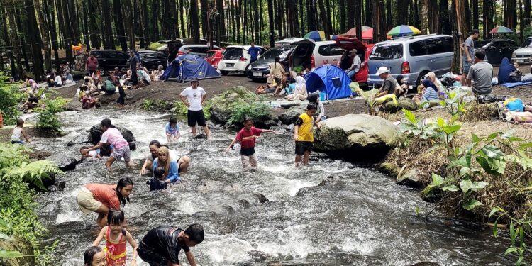 Masuk Wisata Kalipinusan Poncosumo Lumajang Cuma Rp 3.000 per Orang