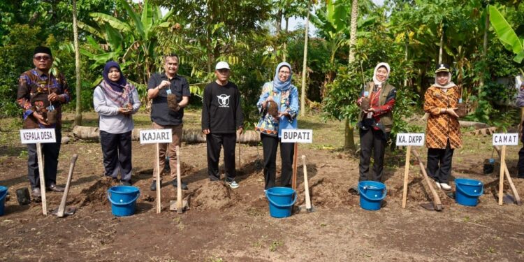 Pemkab Lumajang Bantu Petani Kuasai Budidaya Durian