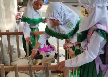 Siswa Preschool Raudlatul Jannah Berinfaq Untuk Beli Hewan Qurban
