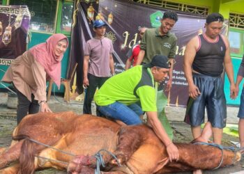 Momen Idul Adha, Siswa SMA Negeri 1 Tarik Ikut Belajar Berkurban dan Kepedulian
