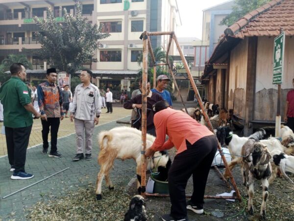YPM Sepanjang Distribusikan Hewan Qurban: Wujud Syiar dan Pembelajaran Bagi Siswa