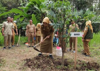 Wujudkan Program “Setor Madu” Pemkab Lumajang Lakukan Penanaman Pohon