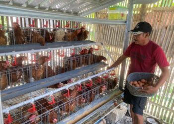 Sariyanto Rasakan Manfaat Program GAYATRI Pemkab Bojonegoro