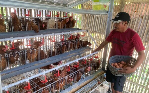 Sariyanto Rasakan Manfaat Program GAYATRI Pemkab Bojonegoro
