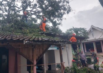 Cuaca Ekstrem, BPBD Lumajang Gerak Cepat Pastikan Keselamatan Warga