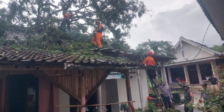 Cuaca Ekstrem, BPBD Lumajang Gerak Cepat Pastikan Keselamatan Warga