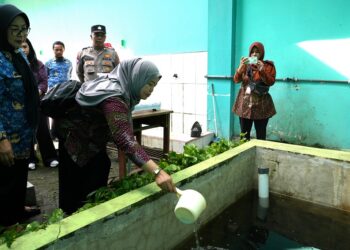 LHK Sidoarjo Support Sekolah – Madrasah Yang Punya Program Menuju Adiwiyata