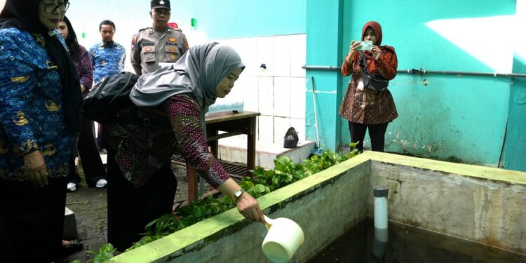 LHK Sidoarjo Support Sekolah – Madrasah Yang Punya Program Menuju Adiwiyata