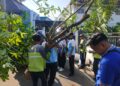 Dinas Sosial Bojonegoro Salurkan 20 Pohon Pule untuk Penghijauan