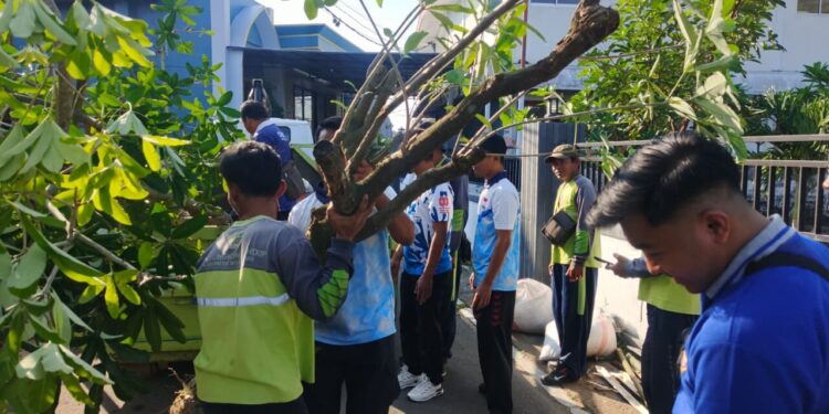 Dinas Sosial Bojonegoro Salurkan 20 Pohon Pule untuk Penghijauan