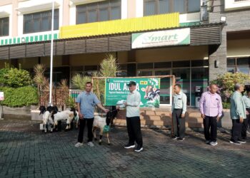 Jelang Idul Adha 1447H, YPM Sepanjang Salurkan 86 Hewan Qurban