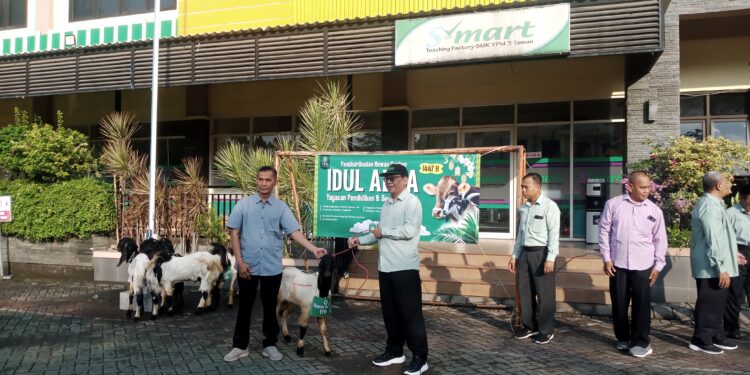 Jelang Idul Adha 1447H, YPM Sepanjang Salurkan 86 Hewan Qurban