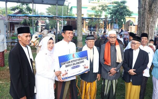 Bupati Bojonegoro Serahkan Sapi Kurban Jenis PO dari Peternak Lokal