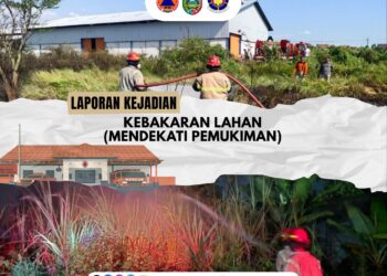 Dalam Sepekan, BPBD Jombang Tangani Belasan Kebakaran Lahan di Berbagai Wilayah 