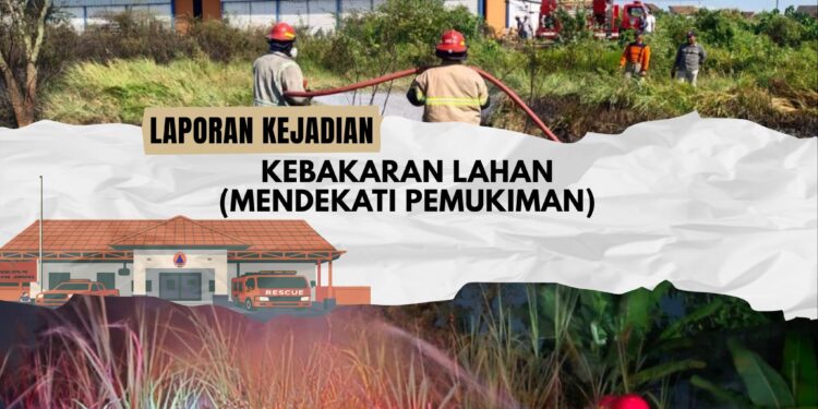 Dalam Sepekan, BPBD Jombang Tangani Belasan Kebakaran Lahan di Berbagai Wilayah 