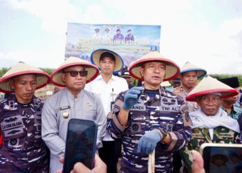 Dukung Produksi Kedelai Nasional, TNI AL dan Pemkab Banyuwangi Kelola 1.200 Hektar