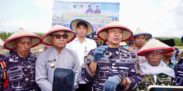 Dukung Produksi Kedelai Nasional, TNI AL dan Pemkab Banyuwangi Kelola 1.200 Hektar