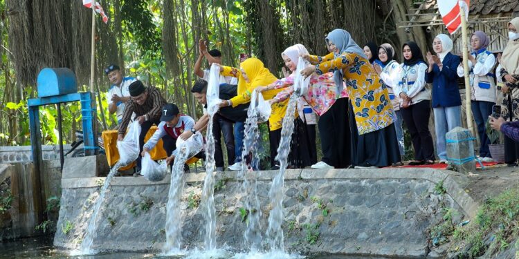 15 Ribu Bibit Ikan Ditebar, Rowosumo Disiapkan Jadi Sumber Pangan dan Ekonomi Warga