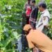 Meski Lahan Sempit, Mbah Dul Bojonegoro Hasilkan Beragam Komoditas Pertanian