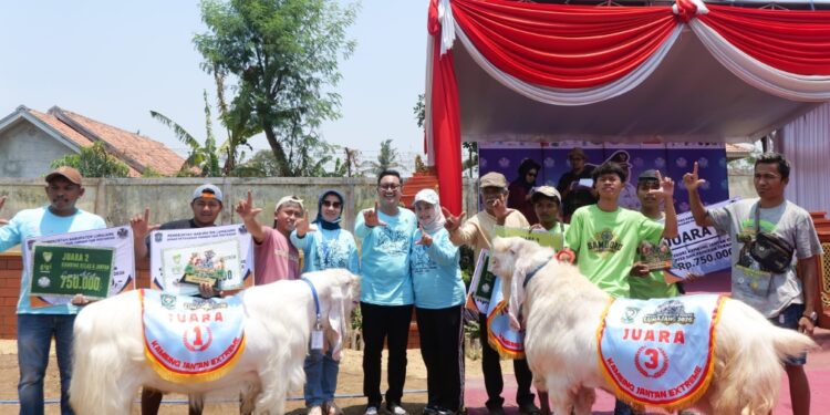 Kontes Ternak Lumajang Jadi Wadah Bibit Unggul dan Penggerak Ekonomi Warga