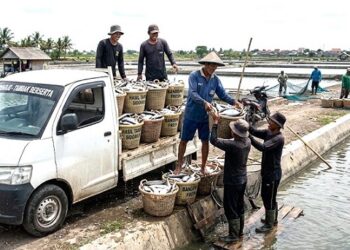 Produktivitas Perikanan Ikan Bandeng di Sidoarjo Paling Banyak